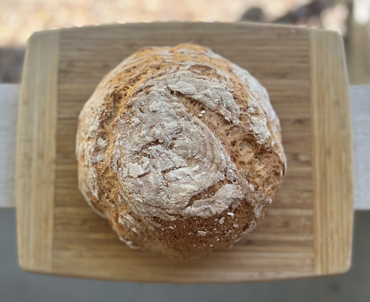 Gluten and Dairy Free Sea Salt Batard