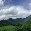 流羽亜で〜す（偽名）