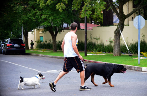 A man walks his dogs past the residence of Nelson Mandela in Johannesburg on December 27, 2012.