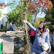 田尾綠海咖啡館 - 景觀餐廳