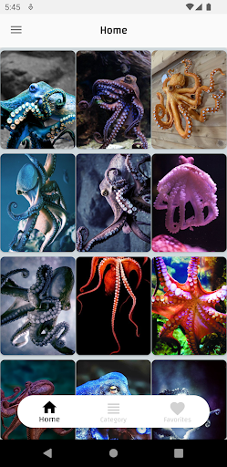 Octopus Wallpapers Offline