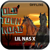 Lil Nas X "Old Town Road" icon