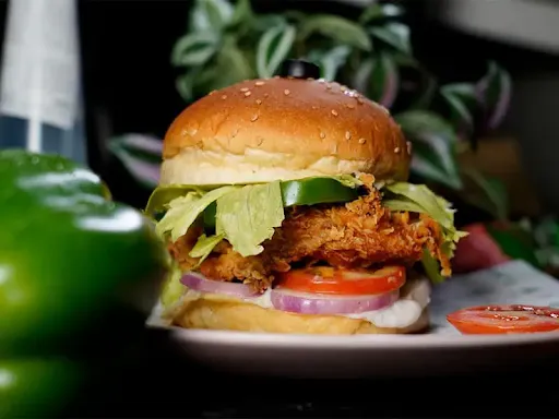 Mexican Veg Burger