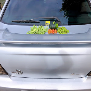 インプレッサ WRX GDA