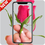 Cover Image of ダウンロード Rose Wallpaper Full HD 1.0.116 APK