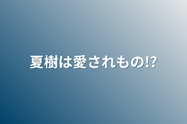 夏樹は愛されもの!?