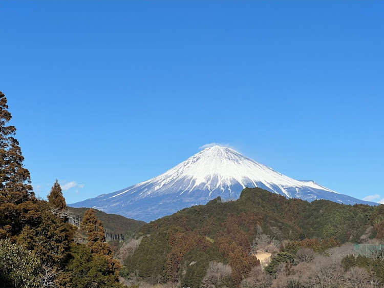 の投稿画像2枚目