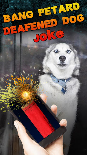 Bang Petard Deafened Dog Joke