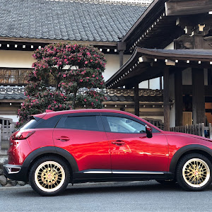 CX-3 DKEFW