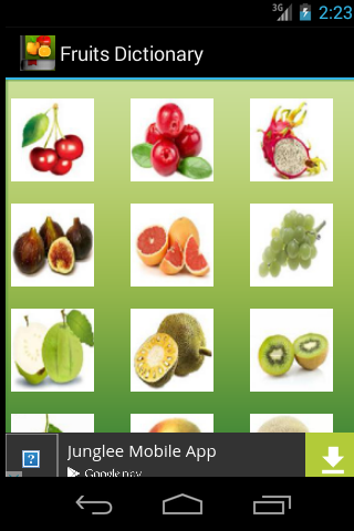 English Fruits Dictionary