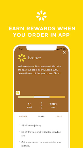 Screenshot Lemonade Ordering