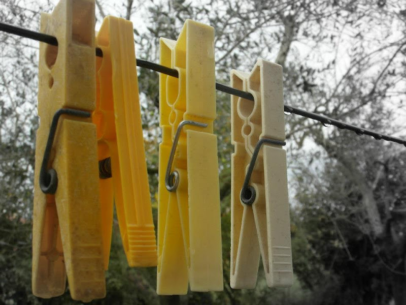 Four yellow clothespins  di Nida