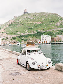 Wedding photographer Elena Plotnikova (lenaplotnikova). Photo of 25 October 2016