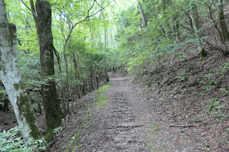 小川沿いに進む