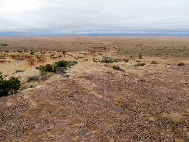 View down the Reef