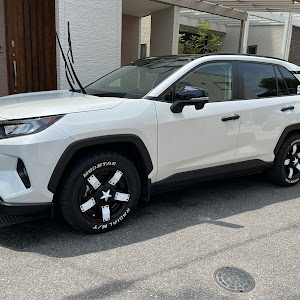 RAV4 MXAA54