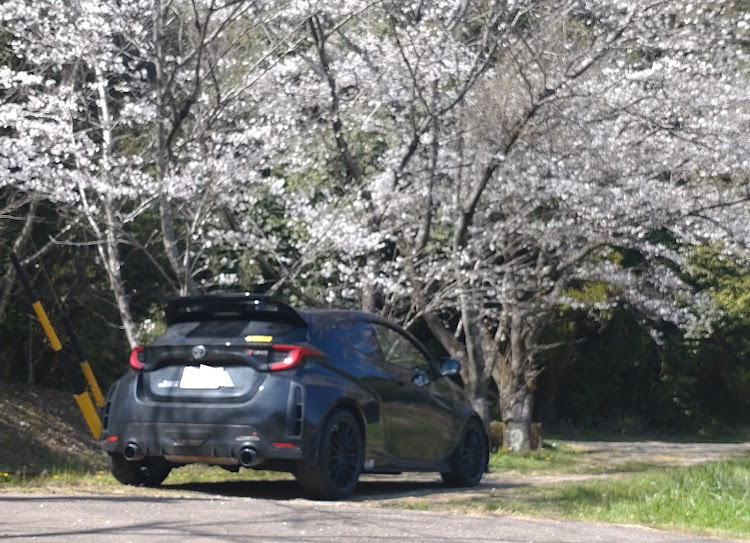 GRヤリスのいつもイイネ&コメントありがとうございます🙇‍♂️・GRヤリスRS・4月もよろしくお願い致します🌸・桜とコラボ・満開までもう少しに関するカスタム事例の投稿画像2枚目