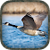 Goose Hunting Calls icon