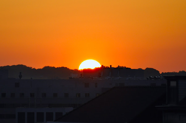 Al calar del sole di lana