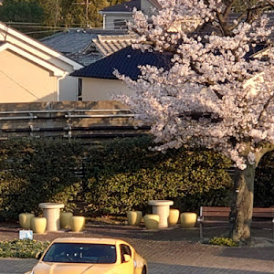 フェアレディZ Z34