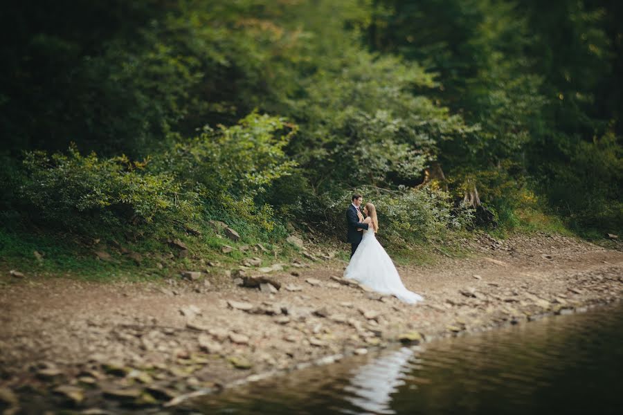 Fotógrafo de casamento Svetlana Yakusheva (svetayak). Foto de 29 de novembro 2015