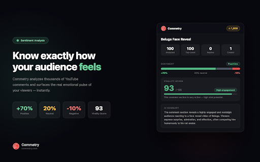 Commetry - AI YouTube Comment Analyzer, Sentiment & Audience Insights Tool screenshot 2