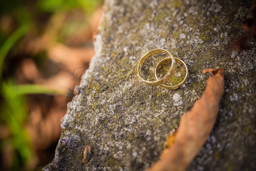 Fotógrafo de casamento Marcin Wludarczyk (wludarczyk). Foto de 28 de agosto 2017