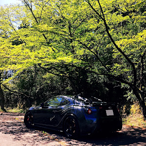 BRZ ZC6