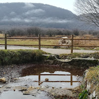 Un Piccolo angolo di Paradiso di Tonysety