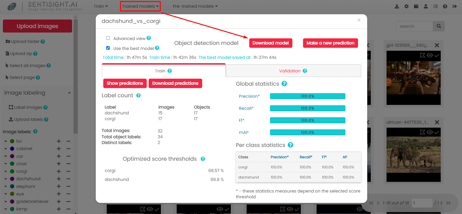 3 ways to deploy SentiSight.ai models - SentiSight.ai