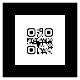 QR Code Assistant