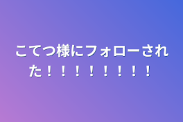 こてつ様にフォローされた！！！！！！！！