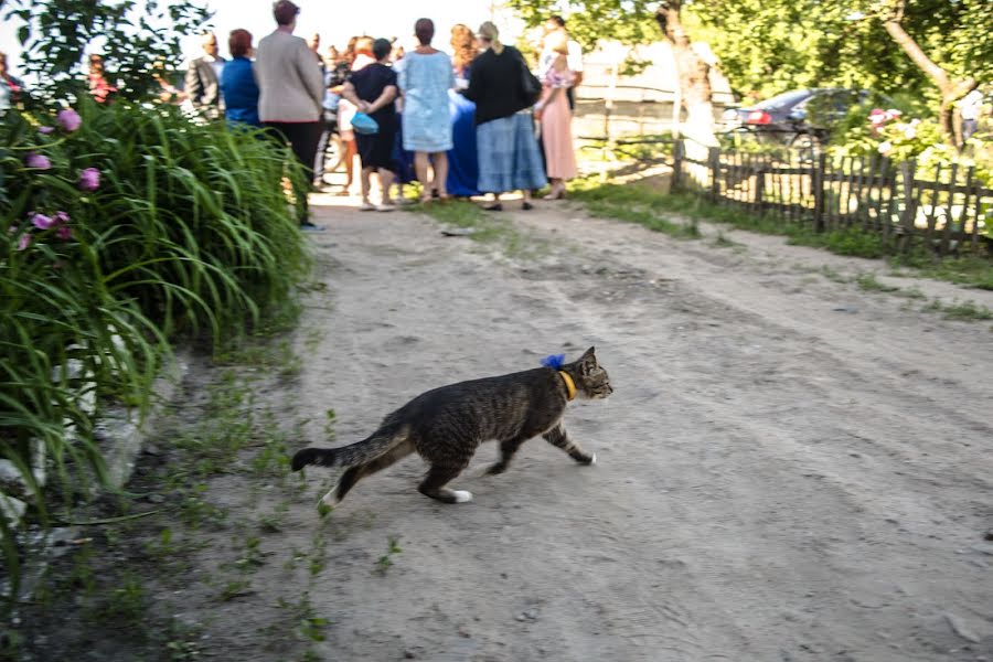 Bryllupsfotograf Sergey Saenko (saienkofoto). Bilde av 1 juli 2021