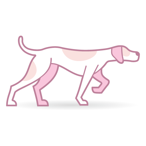 Pink Pointer avatar image