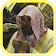 Quran Maher Al Mueaqly Offline MP3 icon