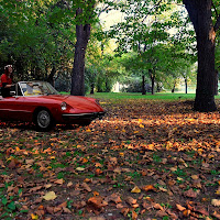 strada di foglie autunnali di 