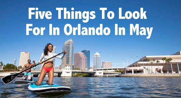 Five Things To Look For In Orlando In May