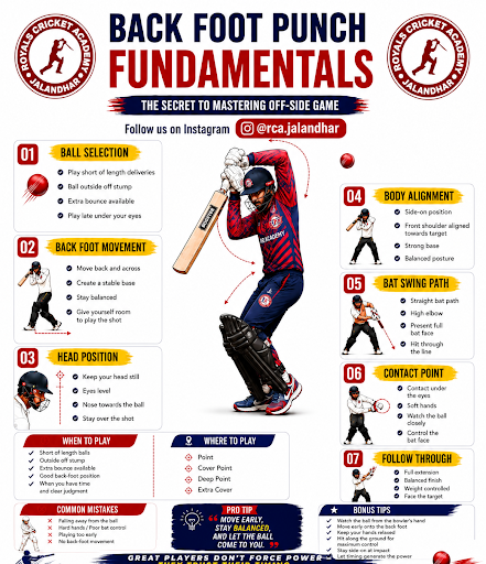 Royals Cricket Academy, Jalandhar — business photo 8