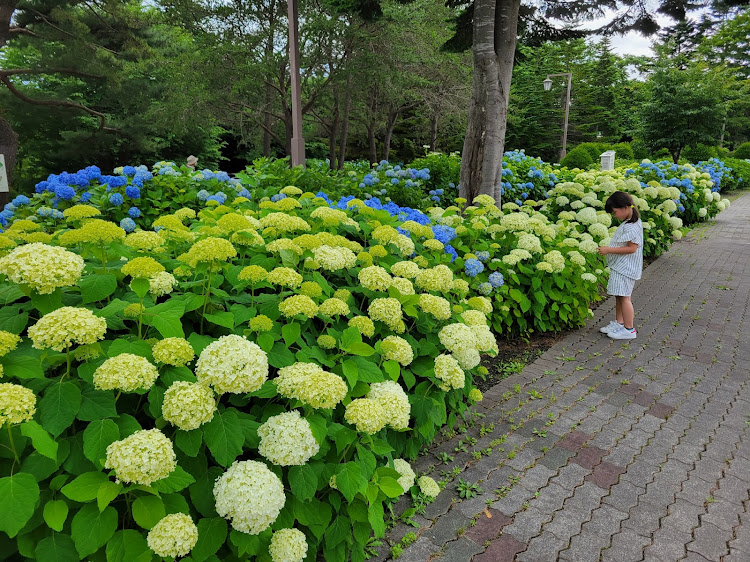 の投稿画像4枚目