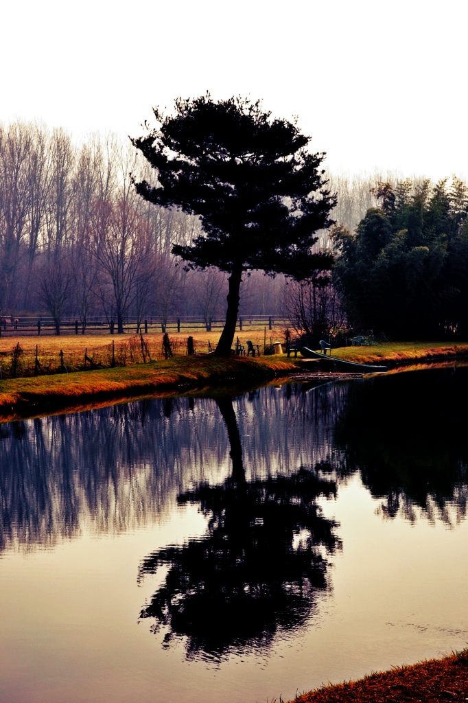 Lake di eleonoradistefano