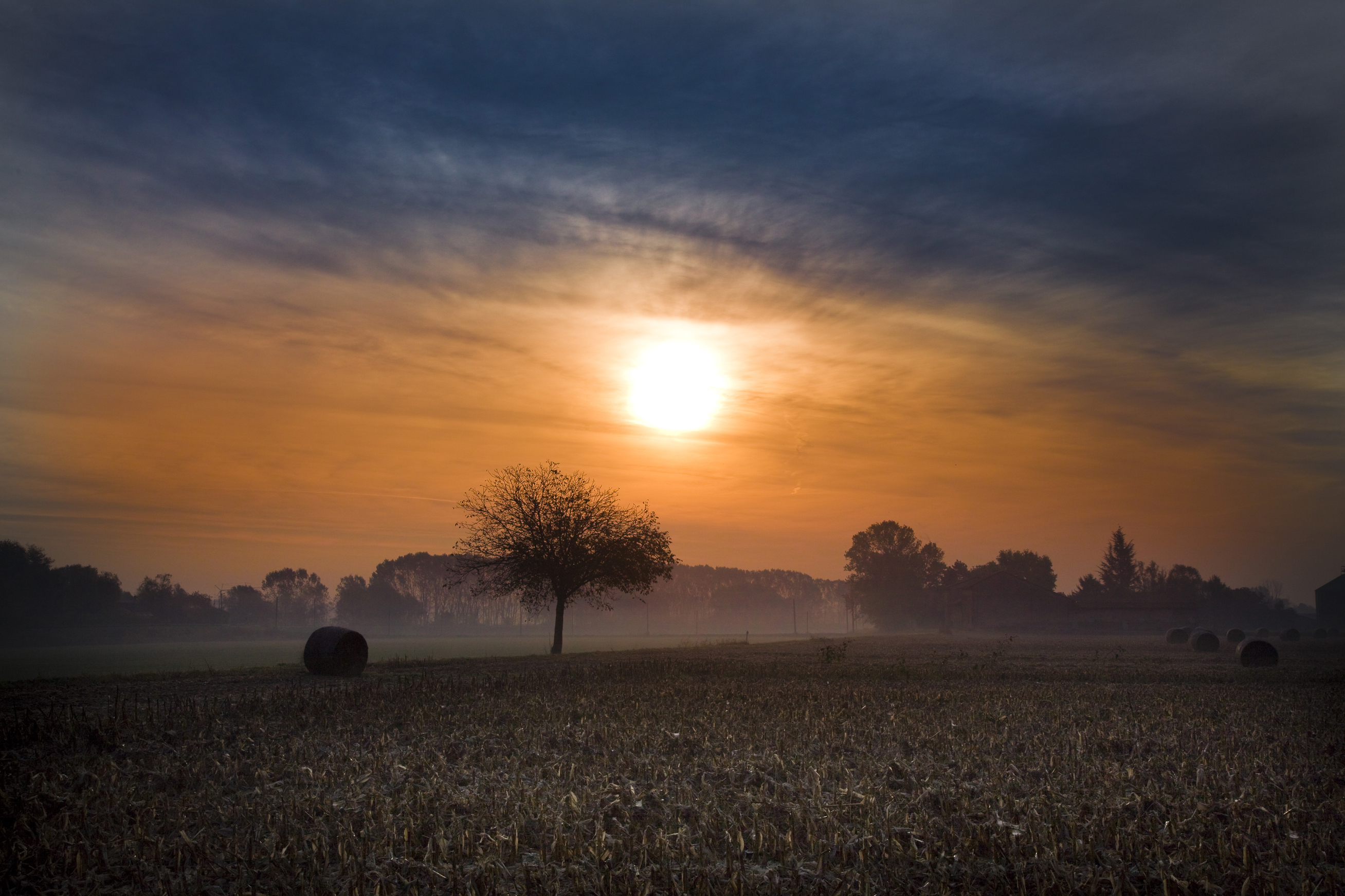 prime luci d'autunno di alber52