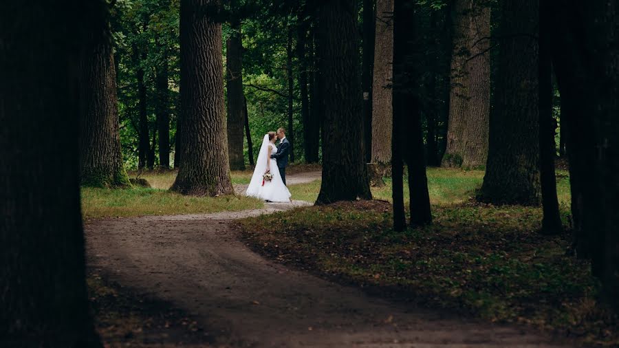 Fotógrafo de casamento Kristi Tina (katosja). Foto de 3 de janeiro 2019