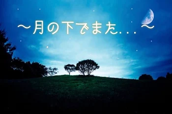 「月の下でまた...」のメインビジュアル