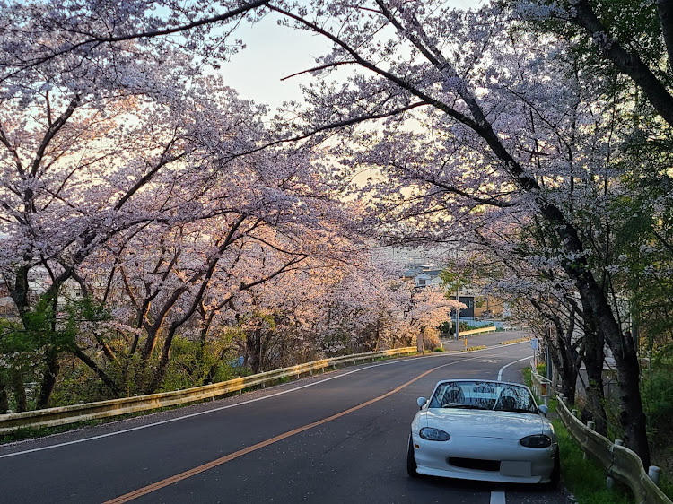 の投稿画像4枚目