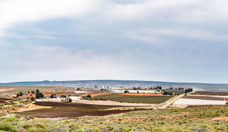 Farmland in Vredendal, where four men are alleged to have defrauded the department of rural development and land reform.