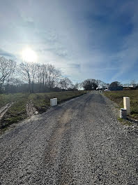 maison neuve à Guerande (44)