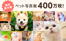 かわいい動物写真がたくさん～パシャっとmyペット～のおすすめ画像1