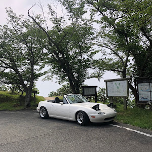 ロードスター NA8C