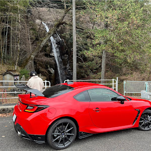 BRZ ZD8