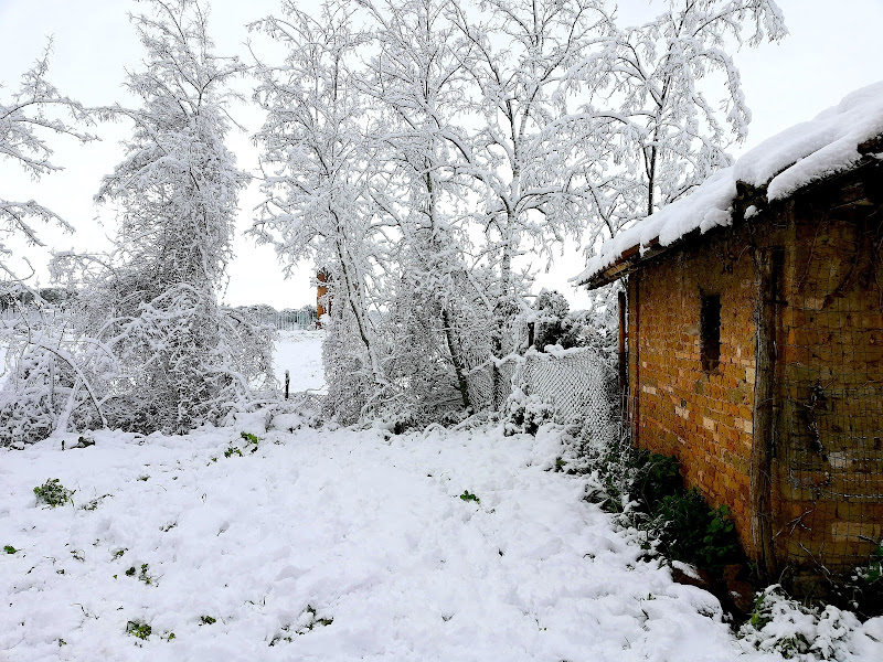 Freddo inverno di LMModellismoMilitare